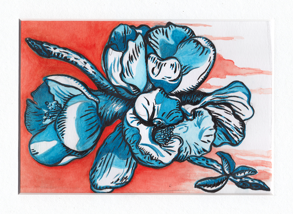 St. Stephens Lutheran Academy